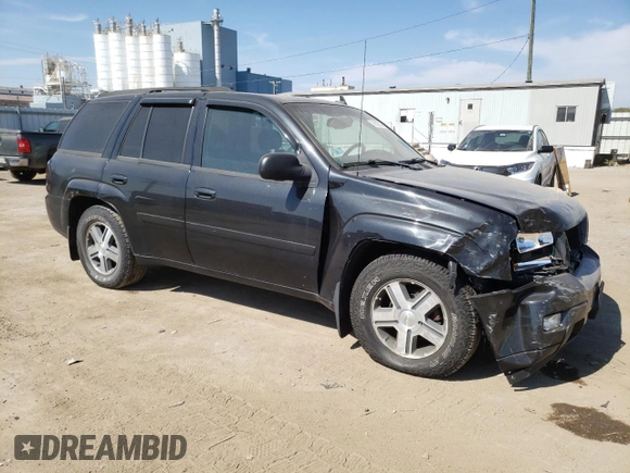 2008 Chevrolet TrailBlazer 1LT with VIN 1GNDT13S982246404, listed as a Copart auction lot 71012014 with 239,388 mi miles and Salvage Title. Bid and sale history available at DreamBid. Image 4.