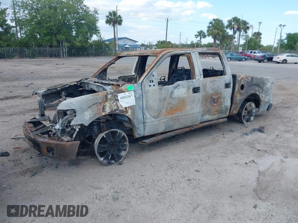 2014 Ford F-150 XL with VIN 1FTFW1EF5EKG03064, listed as a IAAI auction lot 41832417 with Not provided miles and . Bid and sale history available at DreamBid. Image 2.