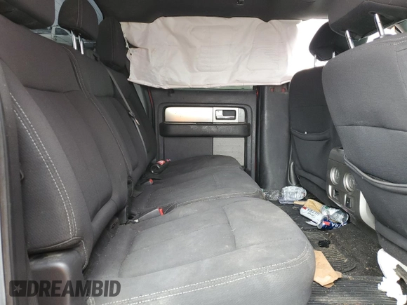 2013 Ford F-150 XL with VIN 1FTFW1EF8DFC82824, listed as a Copart auction lot 50132975 with Not Provided miles and Salvage Title. Bid and sale history available at DreamBid. Image 10.