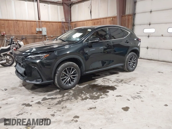 2022 Lexus NX with VIN JTJAGCEZ0N2003241, listed as a IAAI auction lot 41509411 with 53,287 mi miles. Bid and sale history available at carsss.com. Image 21.