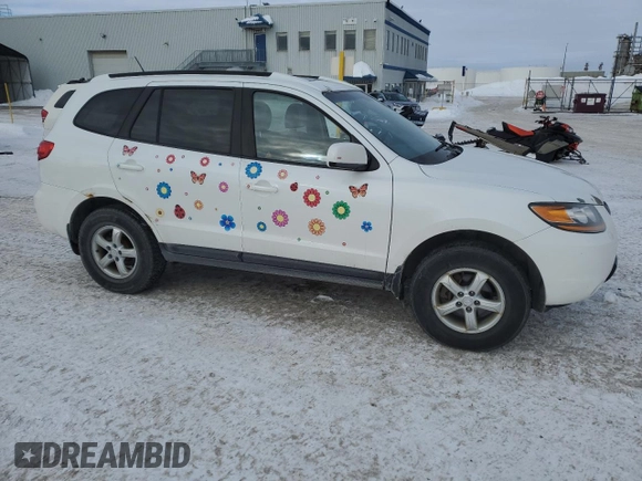 2009 Hyundai Santa Fe GL with VIN 5NMSG13E99H318861, listed as a Copart auction lot 46081195 with 294,793 mi miles and Clean title. Bid and sale history available at DreamBid. Image 4.