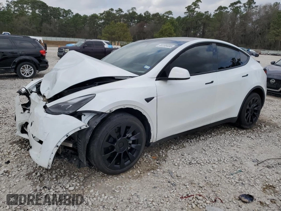 2024 Tesla Model Y Long Range with VIN 7SAYGDEE1RA234401, listed as a Copart auction lot 44199495 with 17,900 mi miles and Clean Title. Bid and sale history available at DreamBid. Image 1.