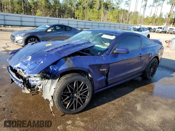 2013 Ford Mustang GT with VIN 1ZVBP8CF9D5269882, listed as a Copart auction lot 45360035 with Not Provided miles and Salvage Title. Bid and sale history available at carsss.com. Image 1.