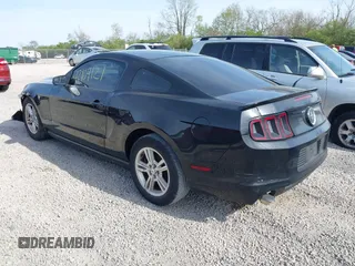 2013 Ford Mustang V6 with VIN 1ZVBP8AM7D5203672, listed as a IAAI auction lot 42104121 with 215,815 mi miles. Bid and sale history available at carsss.com. Image 3.