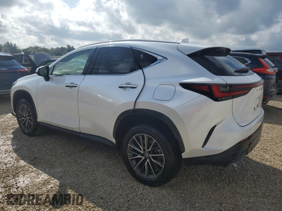 2023 Lexus NX with VIN JTJGDCAZ2P5009827, listed as a Copart auction lot 73701374 with Not Provided miles and Non Repairable. Bid and sale history available at carsss.com. Image 2.