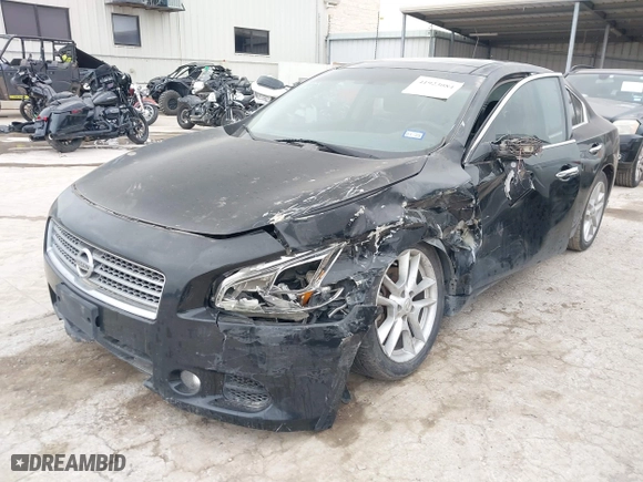 2009 Nissan Maxima 3.5 S with VIN 1N4AA51E89C831062, listed as a IAAI auction lot 41923084 with 176,709 mi miles. Bid and sale history available at carsss.com. Image 2.