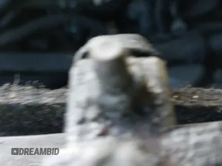 2012 Dodge Grand Caravan SE with VIN 2C4RDGBG1CR389286, listed as a IAAI auction lot 42952196 with 126,267 mi miles and . Bid and sale history available at DreamBid. Image 19.