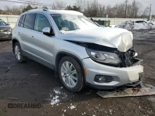 2016 Volkswagen Tiguan S with VIN WVGBV7AXXGW554423, listed as a Copart auction lot 44310835 with 123,118 mi miles and Salvage Title. Bid and sale history available at DreamBid. Image 4.
