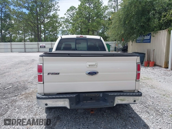 2009 Ford F-150 XLT with VIN 1FTRX12V59FA64787, listed as a IAAI auction lot 42502385 with 174,873 mi miles and . Bid and sale history available at DreamBid. Image 16.