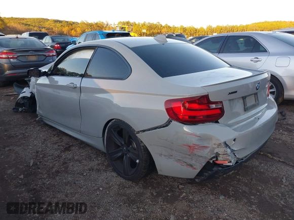 2016 BMW 2 Series 228i xDrive with VIN WBA1G9C59GVX96995, listed as a IAAI auction lot 41071402 with Not Provided miles and . Bid and sale history available at carsss.com. Image 3.