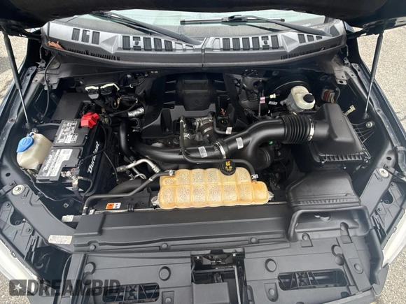 2017 Ford F-150 XL with VIN 1FTEX1CP9HKE38774, listed as a Copart auction lot 44837295 with 135,609 mi miles and Clean Title. Bid and sale history available at carsss.com. Image 7.