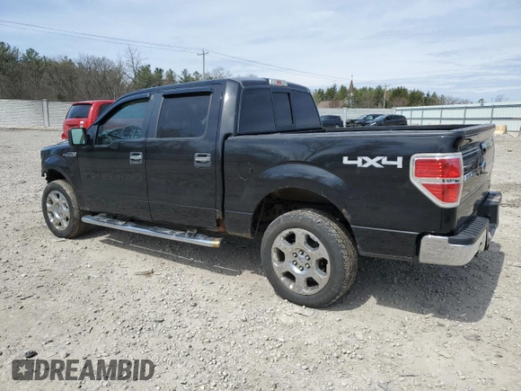 2010 Ford F-150 XL with VIN 1FTFW1EV2AFD23600, listed as a Copart auction lot 54312395 with 250,649 mi miles and Clean Title. Bid and sale history available at carsss.com. Image 2.