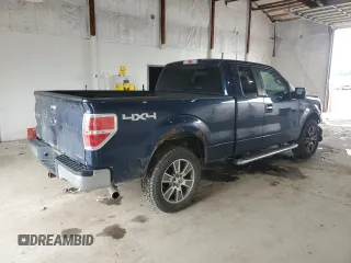 2013 Ford F-150 XL with VIN 1FTFX1EF0DFD99679, listed as a Copart auction lot 57461065 with 216,138 mi miles and Salvage title. Bid and sale history available at DreamBid. Image 3.