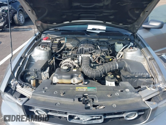 2008 Ford Mustang Deluxe with VIN 1ZVHT80N485102045, listed as a IAAI auction lot 42412374 with 153,632 mi miles and . Bid and sale history available at DreamBid. Image 10.