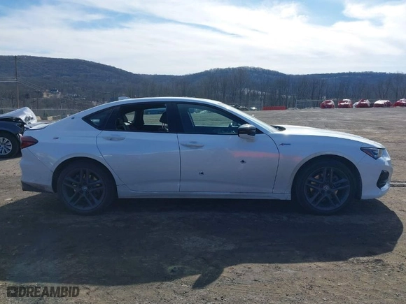 2024 Acura TLX w/A-Spec Package with VIN 19UUB6F51RA000938, listed as a IAAI auction lot 41566703 with 1 mi miles. Bid and sale history available at carsss.com. Image 14.