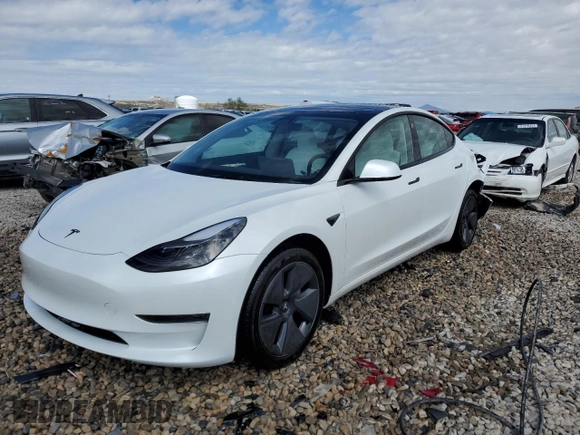 2023 Tesla Model 3 with VIN 5YJ3E1EA9PF569835, listed as a Copart auction lot 50876824 with 25,736 mi miles and Salvage Title. Bid and sale history available at DreamBid. Image 1.