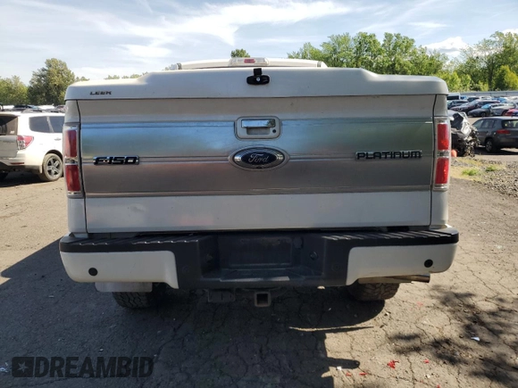 2013 Ford F-150 XL with VIN 1FTFW1ETXDFC95631, listed as a Copart auction lot 60252685 with 136,427 mi miles and Salvage title. Bid and sale history available at DreamBid. Image 6.