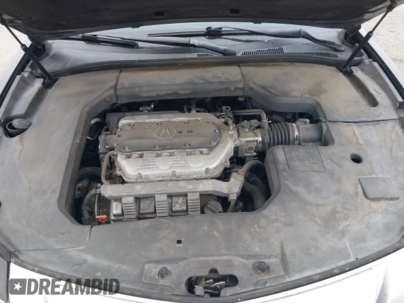 2010 Acura TL Technology z VIN 19UUA8F52AA020201, wystawiony jako IAAI lot #42367882 z przebiegiem 250 497 mil mil oraz . Historia ofert i sprzedaży dostępna na DreamBid. Obrazek 10.