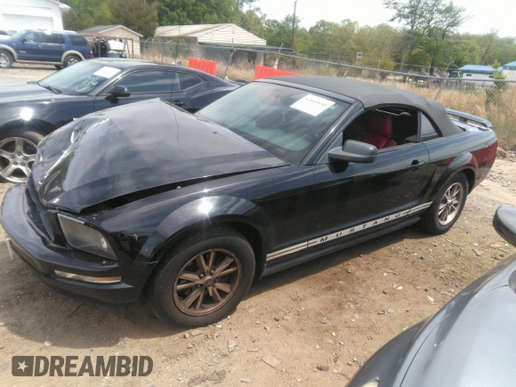 2005 Ford Mustang Deluxe with VIN 1ZVHT84N855259857, listed as a IAAI auction lot 42049030 with 228,608 mi miles. Bid and sale history available at carsss.com. Image 2.
