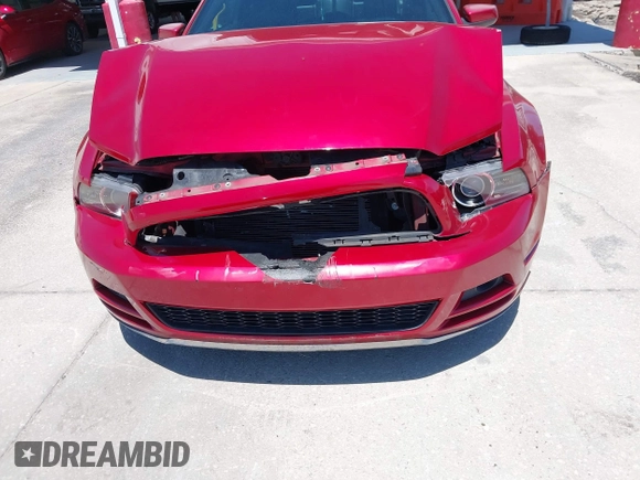 2013 Ford Mustang V6 with VIN 1ZVBP8AM0D5200449, listed as a IAAI auction lot 42046536 with Not Provided miles. Bid and sale history available at carsss.com. Image 13.