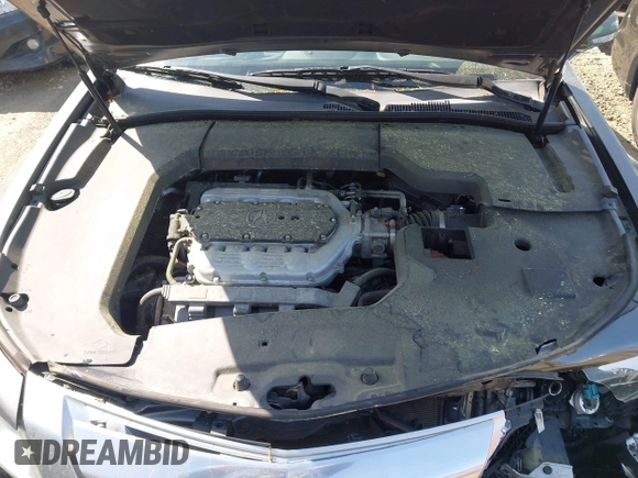 2009 Acura TL Tech with VIN 19UUA86569A019919, listed as a IAAI auction lot 41908425 with 109,726 mi miles. Bid and sale history available at carsss.com. Image 10.