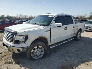 2010 Ford F-150 XL with VIN 1FTEW1C83AKE74655, listed as a Copart auction lot 48183735 with 263,425 mi miles and Salvage Title. Bid and sale history available at carsss.com. Image 1.