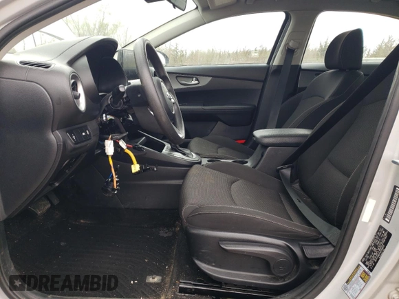2019 Kia Forte LXS with VIN 3KPF24AD1KE058609, listed as a Copart auction lot 53287705 with 100,024 mi miles and Salvage Title. Bid and sale history available at carsss.com. Image 7.