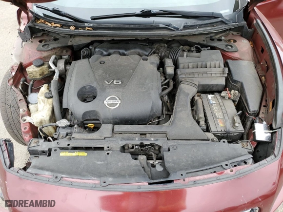 2010 Nissan Maxima 3.5 SV w/Premium Pkg with VIN 1N4AA5AP0AC819624, listed as a Copart auction lot 41728375 with 162,774 mi miles and Non Repairable. Bid and sale history available at carsss.com. Image 7.