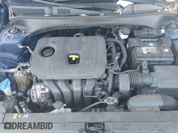 2019 Kia Forte LXS with VIN 3KPF24AD2KE020256, listed as a IAAI auction lot 39141379 with 80,878 mi miles and . Bid and sale history available at DreamBid. Image 10.
