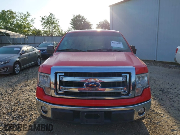 2013 Ford F-150 XL with VIN 1FTEW1CMXDKE99134, listed as a IAAI auction lot 42058789 with 218,432 mi miles. Bid and sale history available at carsss.com. Image 12.