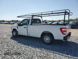 2021 Ford F-150 XL with VIN 1FTMF1CP5MKF10546, listed as a Copart auction lot 50216635 with Not provided miles and Salvage title. Bid and sale history available at DreamBid. Image 2.