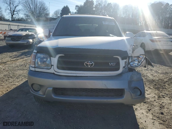 2001 Toyota Sequoia SR5 with VIN 5TDZT34A91S042989, listed as a Copart auction lot 89133665 with 285,365 mi miles and Salvage Title. Bid and sale history available at carsss.com. Image 5.