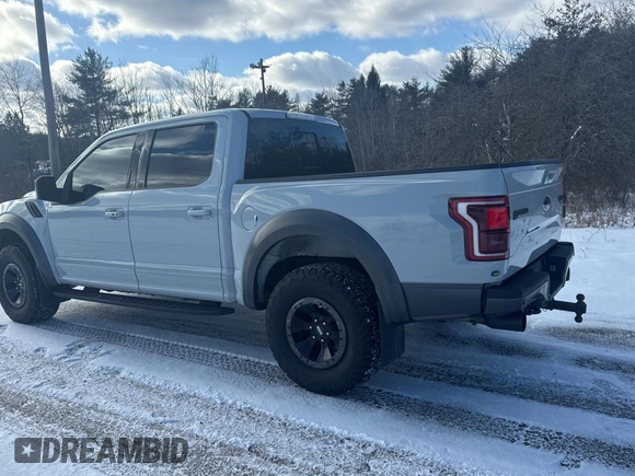 2017 Ford F-150 Raptor with VIN 1FTFW1RG2HFC90216, listed as a Copart auction lot 84215594 with 83,438 mi miles and Clean Title. Bid and sale history available at carsss.com. Image 3.