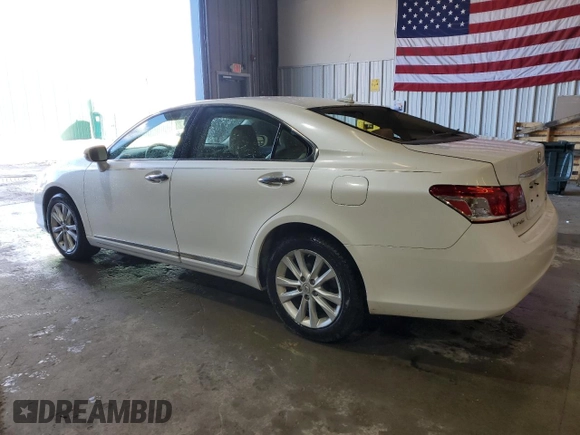 2010 Lexus ES 330 with VIN JTHBK1EGXA2358094, listed as a Copart auction lot 46782755 with 229,098 mi miles and Salvage Title. Bid and sale history available at DreamBid. Image 2.