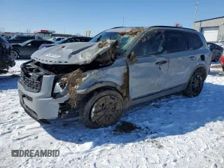 2021 Kia Telluride EX with VIN 5XYP3DHC8MG191114, listed as a Copart auction lot 45985135 with 77,286 mi miles and Salvage Title. Bid and sale history available at DreamBid. Image 1.
