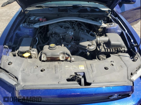 2013 Ford Mustang V6 with VIN 1ZVBP8EM2D5249971, listed as a Copart auction lot 70028174 with 78,348 mi miles and Salvage title. Bid and sale history available at DreamBid. Image 11.