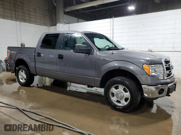 2013 Ford F-150 XL with VIN 1FTFW1EFXDKE17762, listed as a Copart auction lot 79277004 with 182,195 mi miles and Clean title. Bid and sale history available at DreamBid. Image 4.