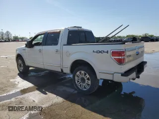 2009 Ford F-150 XL with VIN 1FTPW14V19FB17234, listed as a Copart auction lot 53957085 with 0 mi miles and Salvage Title. Bid and sale history available at carsss.com. Image 2.