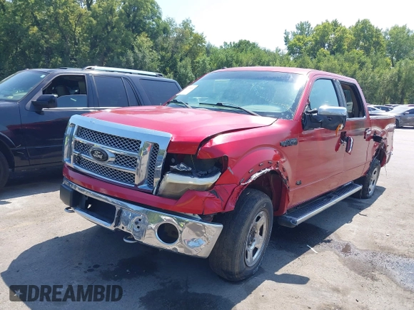 2010 Ford F-150 XL with VIN 1FTFW1EV6AKA65315, listed as a IAAI auction lot 40205081 with 222,866 mi miles. Bid and sale history available at carsss.com. Image 2.
