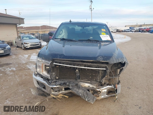 2019 Ford F-150 XL with VIN 1FTFX1E5XKKD99233, listed as a IAAI auction lot 41369349 with 1 mi miles. Bid and sale history available at carsss.com. Image 11.