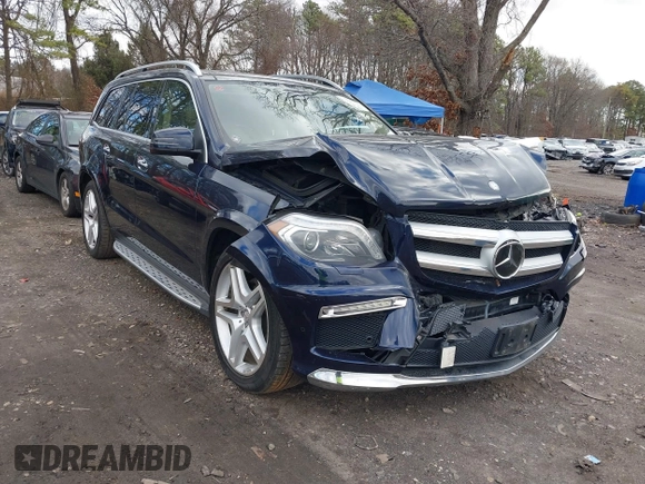 2014 Mercedes-Benz GL-Class GL 550 with VIN 4JGDF7DE2EA313661, listed as a IAAI auction lot 41214931 with 102,469 mi miles. Bid and sale history available at carsss.com. Image 1.