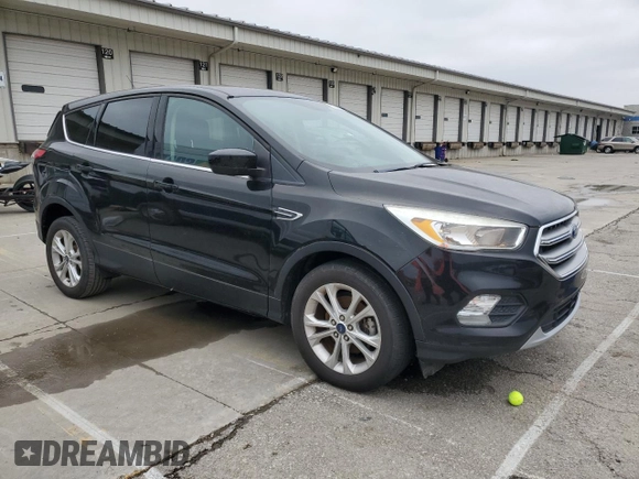 2017 Ford Escape SE with VIN 1FMCU0GD4HUC62887, listed as a Copart auction lot 52010855 with 132,720 mi miles and Clean Title. Bid and sale history available at carsss.com. Image 4.