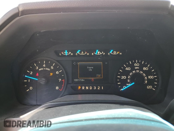 2016 Ford F-150 XL with VIN 1FTEX1C82GKF72100, listed as a Copart auction lot 55204515 with 123,117 mi miles and Salvage title. Bid and sale history available at DreamBid. Image 9.