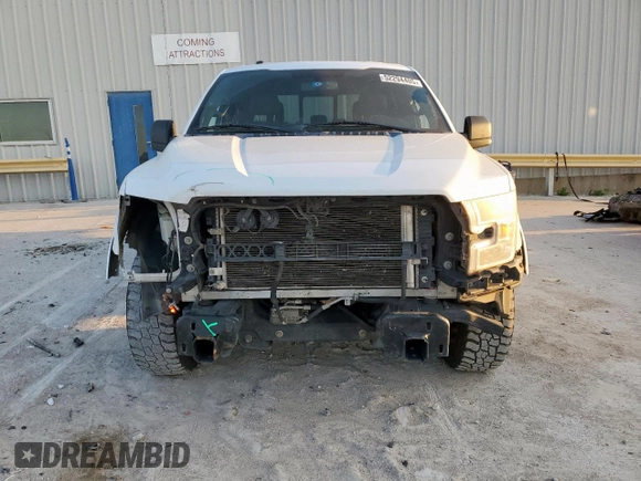 2016 Ford F-150 XL with VIN 1FTEW1CF7GKD22532, listed as a Copart auction lot 53856915 with 202,289 mi miles and Salvage Title. Bid and sale history available at carsss.com. Image 5.