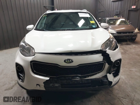 2019 Kia Sportage EX with VIN KNDPNCACXK7571757, listed as a IAAI auction lot 41919955 with 80,895 mi miles. Bid and sale history available at carsss.com. Image 6.