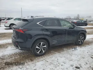 2020 Lexus NX with VIN JTJGJRDZ4L2140115, listed as a Copart auction lot 43695605 with 57,146 mi miles and Salvage Title. Bid and sale history available at carsss.com. Image 3.