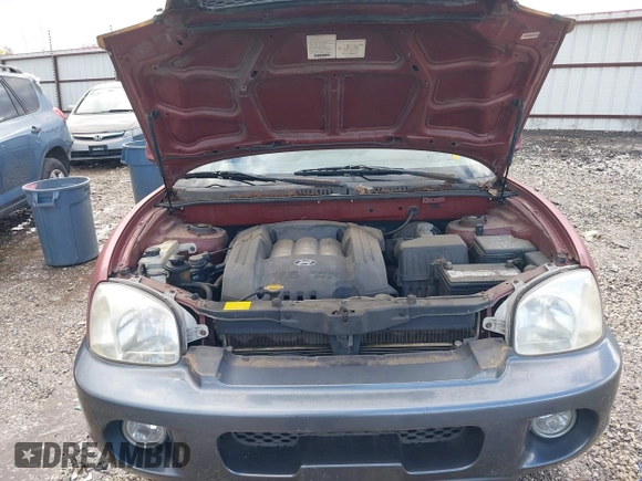 2002 Hyundai Santa Fe GLS z VIN KM8SC13D32U230286, wystawiony jako IAAI lot #41698433 z przebiegiem 151 183 mil mil oraz . Historia ofert i sprzedaży dostępna na DreamBid. Obrazek 10.