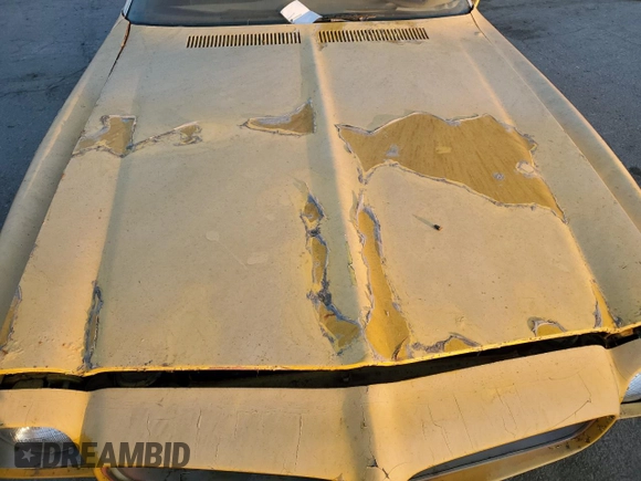 1973 Pontiac Firebird with VIN 2S87M3N110405, listed as a Copart auction lot 84326504 with 22,334 mi miles and Salvage title. Bid and sale history available at DreamBid. Image 11.