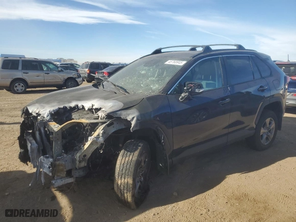 2024 Toyota RAV4 XLE with VIN 2T3P1RFV2RW428261, listed as a Copart auction lot 48768945 with 0 mi miles and Non Repairable. Bid and sale history available at carsss.com. Image 1.