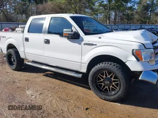 2013 Ford F-150 XL with VIN 1FTFW1EF2DKG07104, listed as a IAAI auction lot 41673020 with 171,956 mi miles. Bid and sale history available at carsss.com. Image 1.